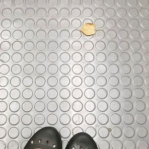 Meet your Posher, Robin